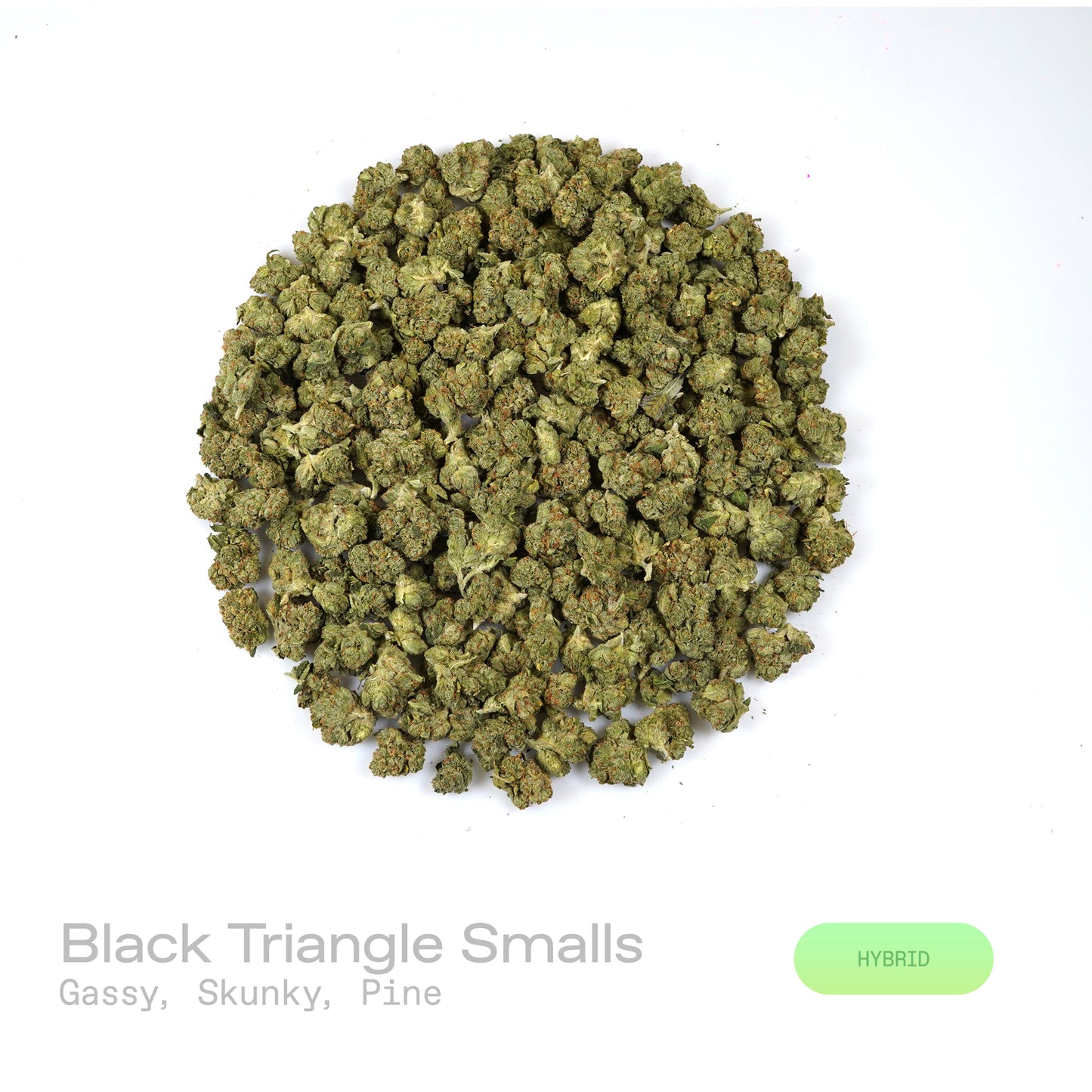 Black Triangle THCa Flower (Exotic)