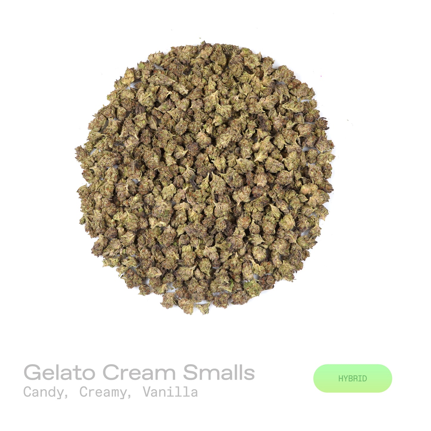 Gelato Cream THCa Flower (Indoor)