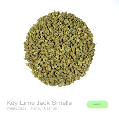 Key Lime Jack THCa Flower (Indoor)