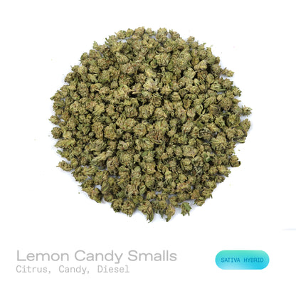 Lemon Candy THCa Flower (Indoor)