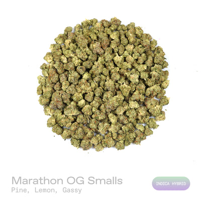 Marathon OG THCa Flower (Exotic)