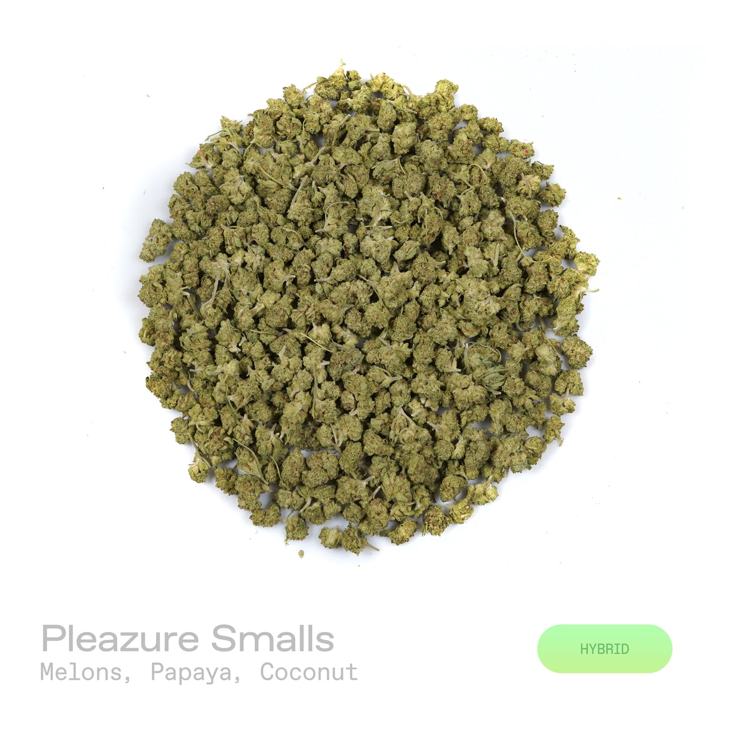 Pleazure THCa Flower (Indoor)