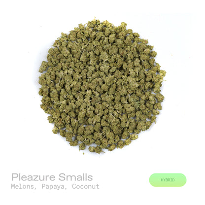 Pleazure THCa Flower (Indoor)